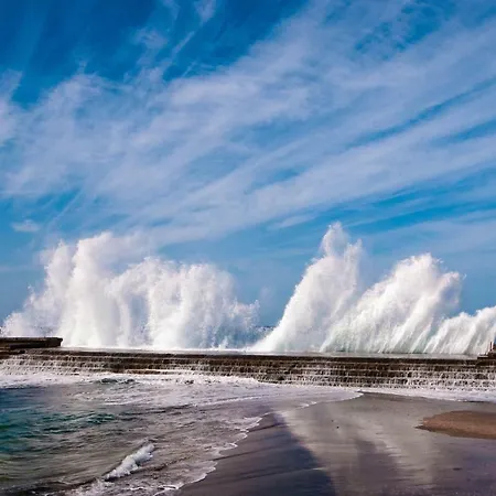 Waves Nest -