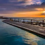 Waves Nest - *