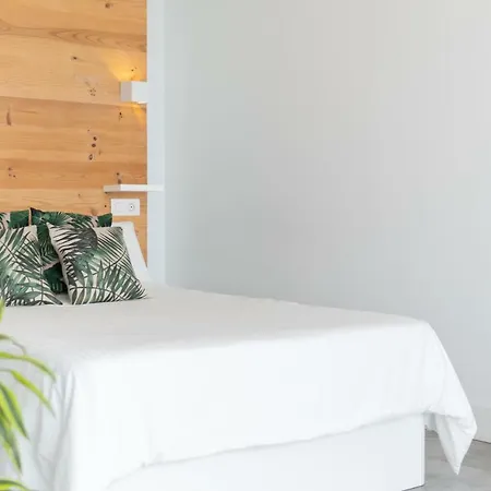 Waves Nest - *